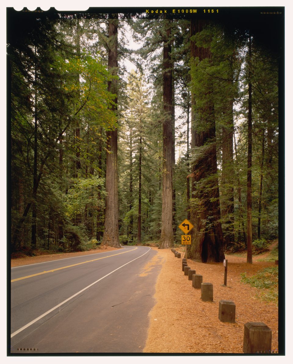 Old Highway 101 north of Miranda, 2000