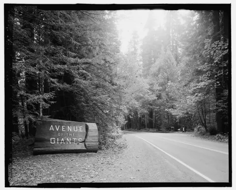 Northern Avenue entrance at Pepperwood, 2000