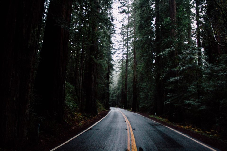 Road to Nowhere 1 (Unsplash)