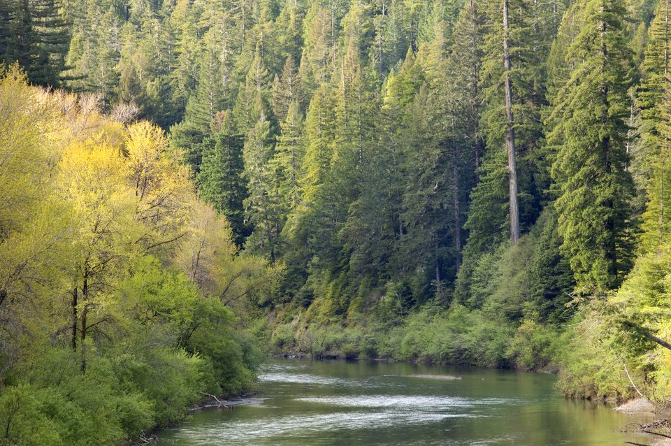Eel Wild and Scenic River, California