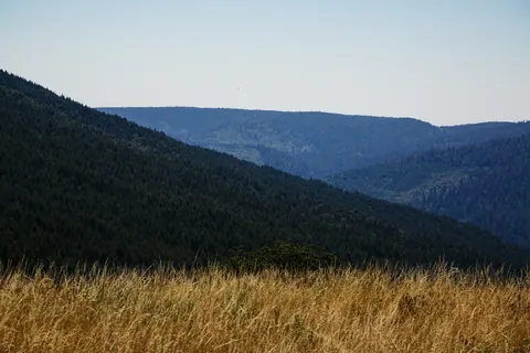 Mountains of Humboldt County, California