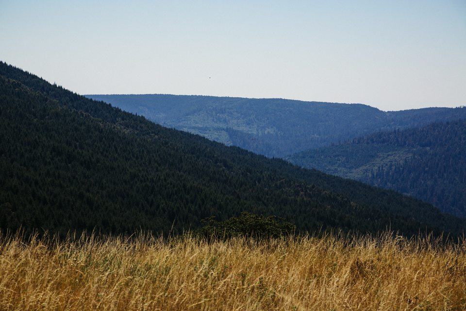 Mountains of Humboldt County, California