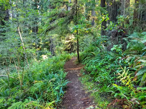 Ah-Pah interpretive trail