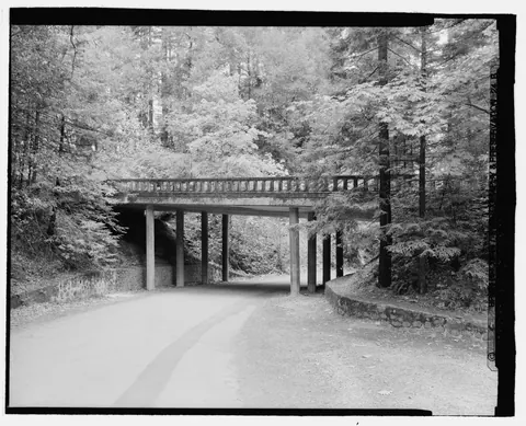 Highway bridge in Richardson Grove, 2000