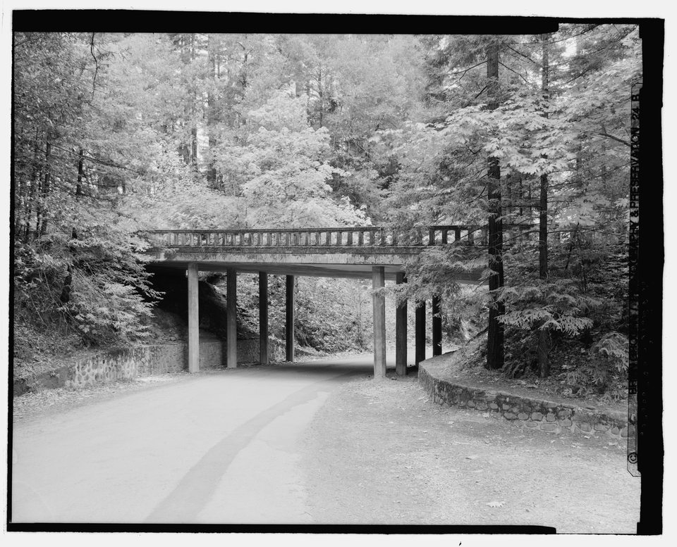Highway bridge in Richardson Grove, 2000