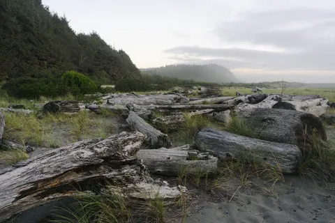 Prairie Creek Redwoods State Park 2019-09-26-5