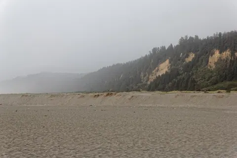 Redwood NSP Gold Bluffs 1