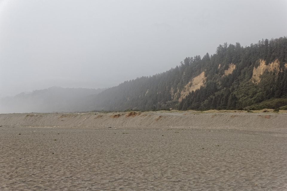 Redwood NSP Gold Bluffs 1
