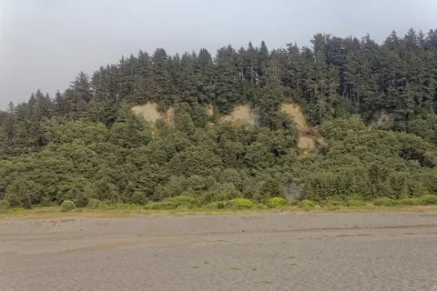 Redwood NSP Gold Bluffs 2