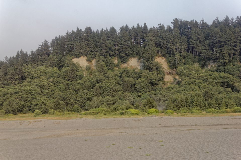 Redwood NSP Gold Bluffs 2
