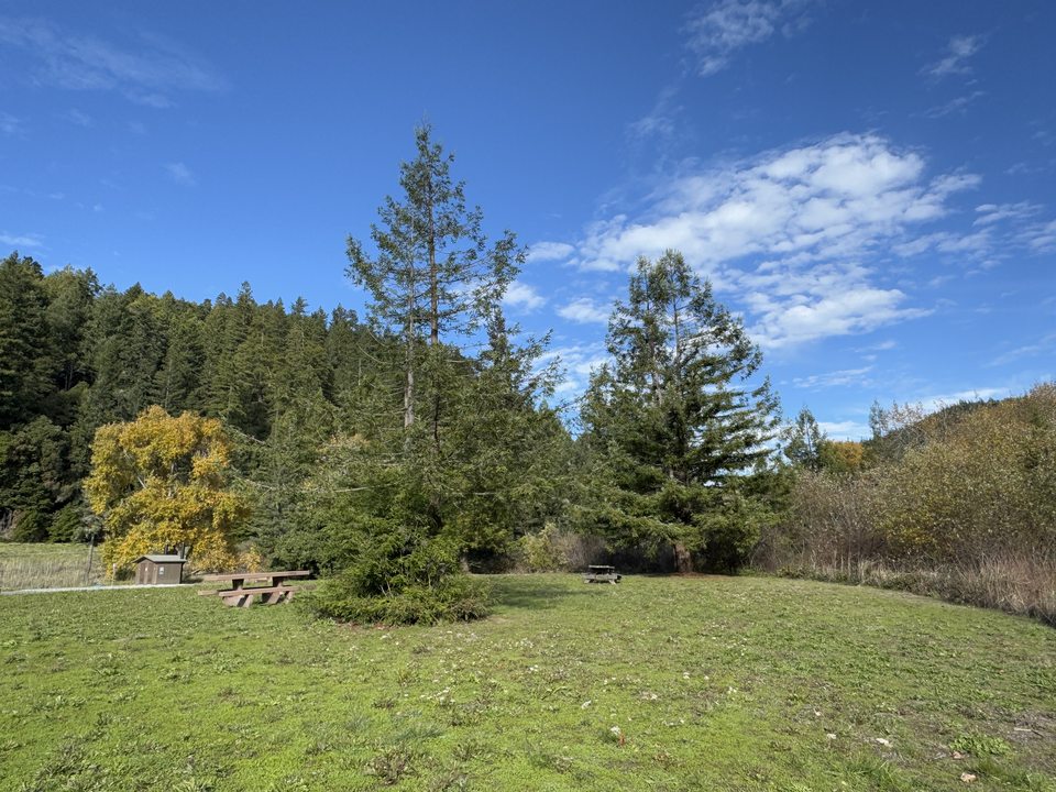 Dyerville landscape in December