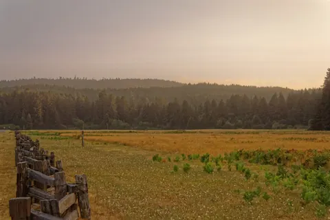 Elk Prairie in evening light