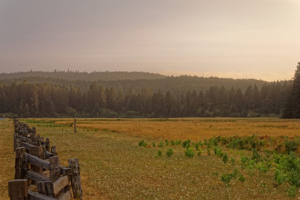 Elk Prairie in evening light