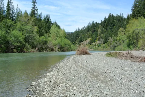 South Fork Eel River bordered by forest near the Avenue of the Giants